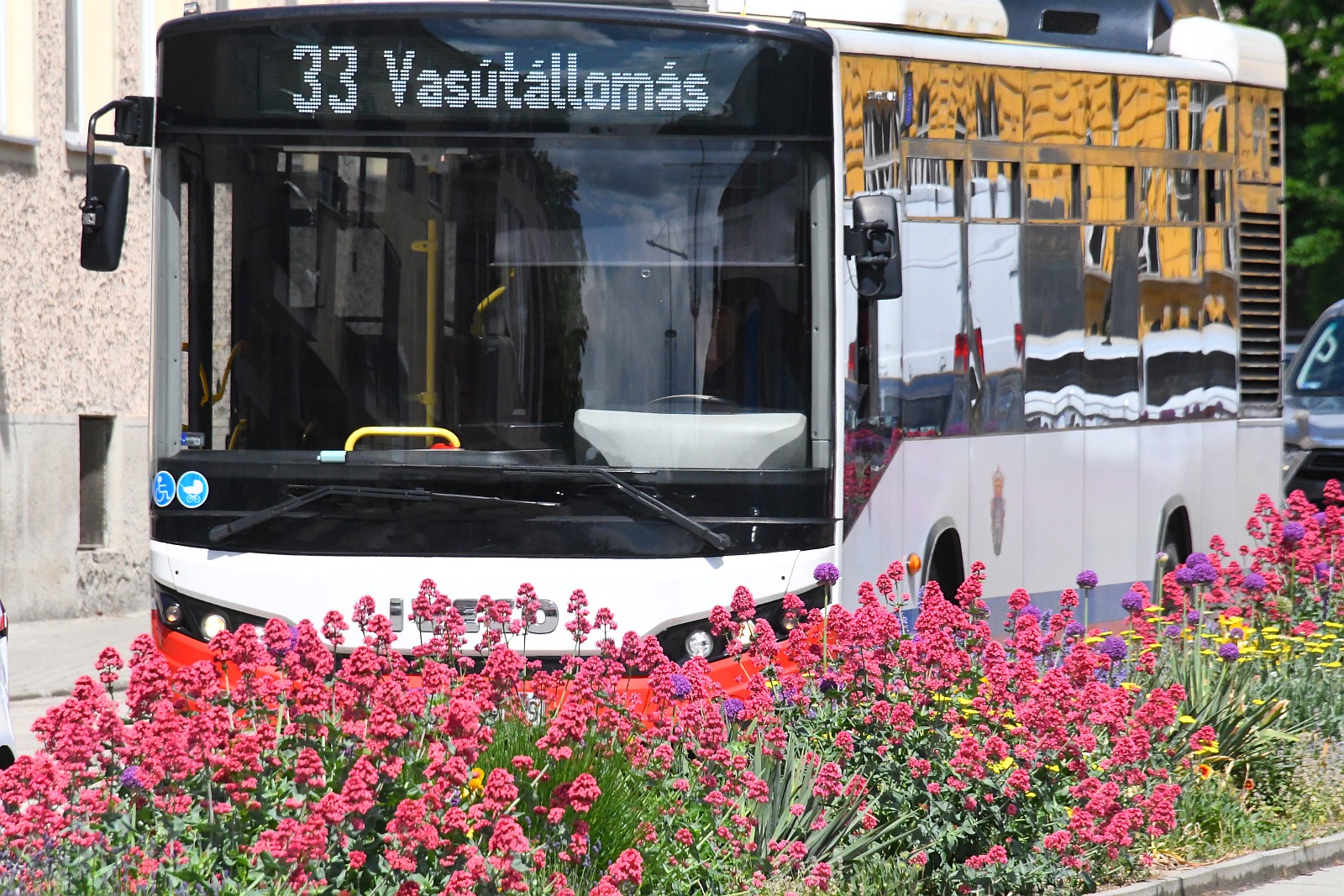 Növekvő utasszám, emelkedő bérleteladás a székesfehérvári közösségi közlekedésben